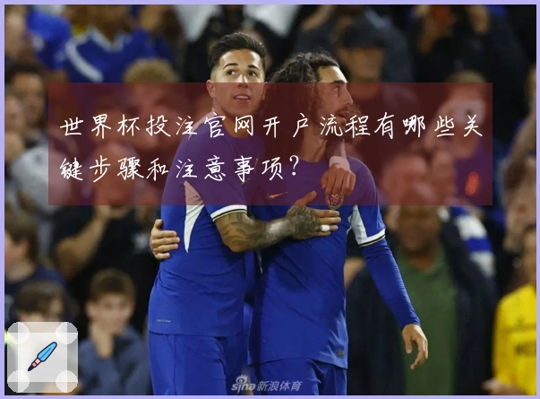 世界杯投注官网开户流程有哪些关键步骤和注意事项？