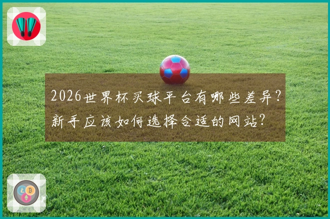 2026世界杯买球平台有哪些差异？新手应该如何选择合适的网站？