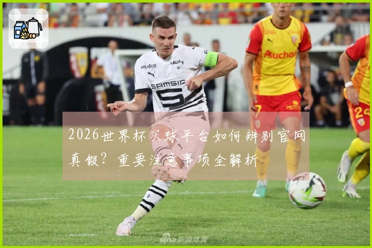2026世界杯买球平台如何辨别官网真假？重要注意事项全解析